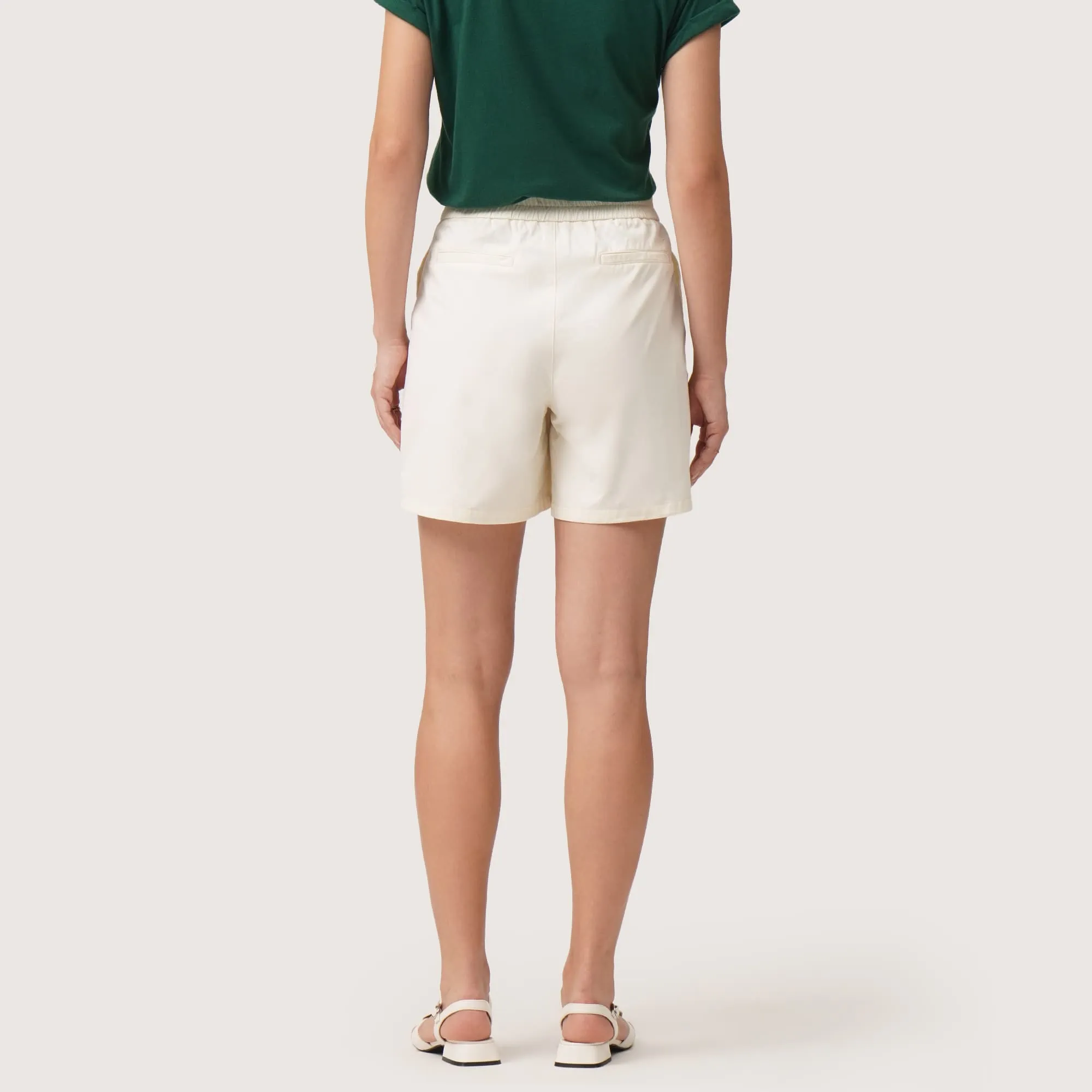 Regatta- Flat Front Shorts