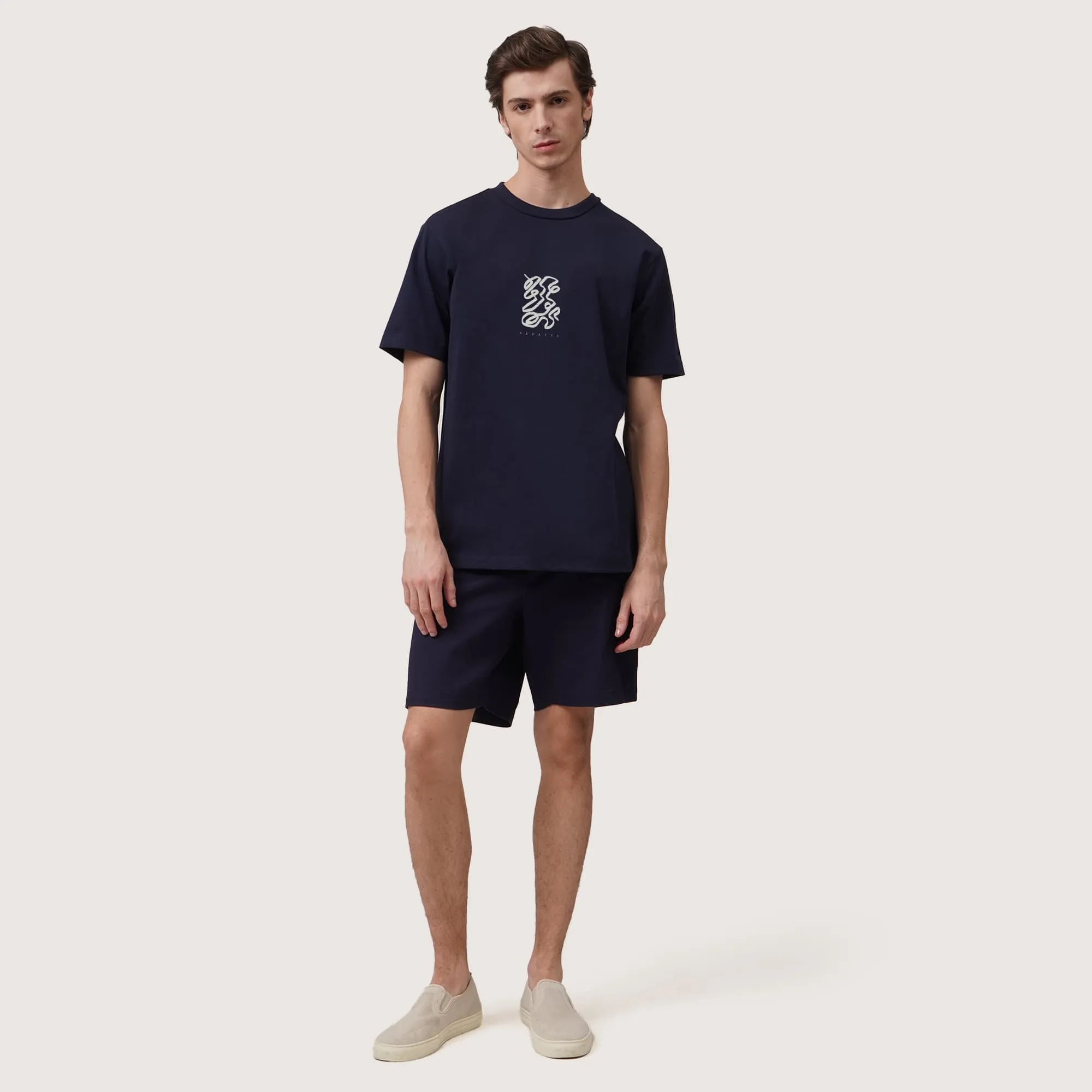 Regatta- Regular Fit Abstract Brush Strokes Graphic T-Shirt