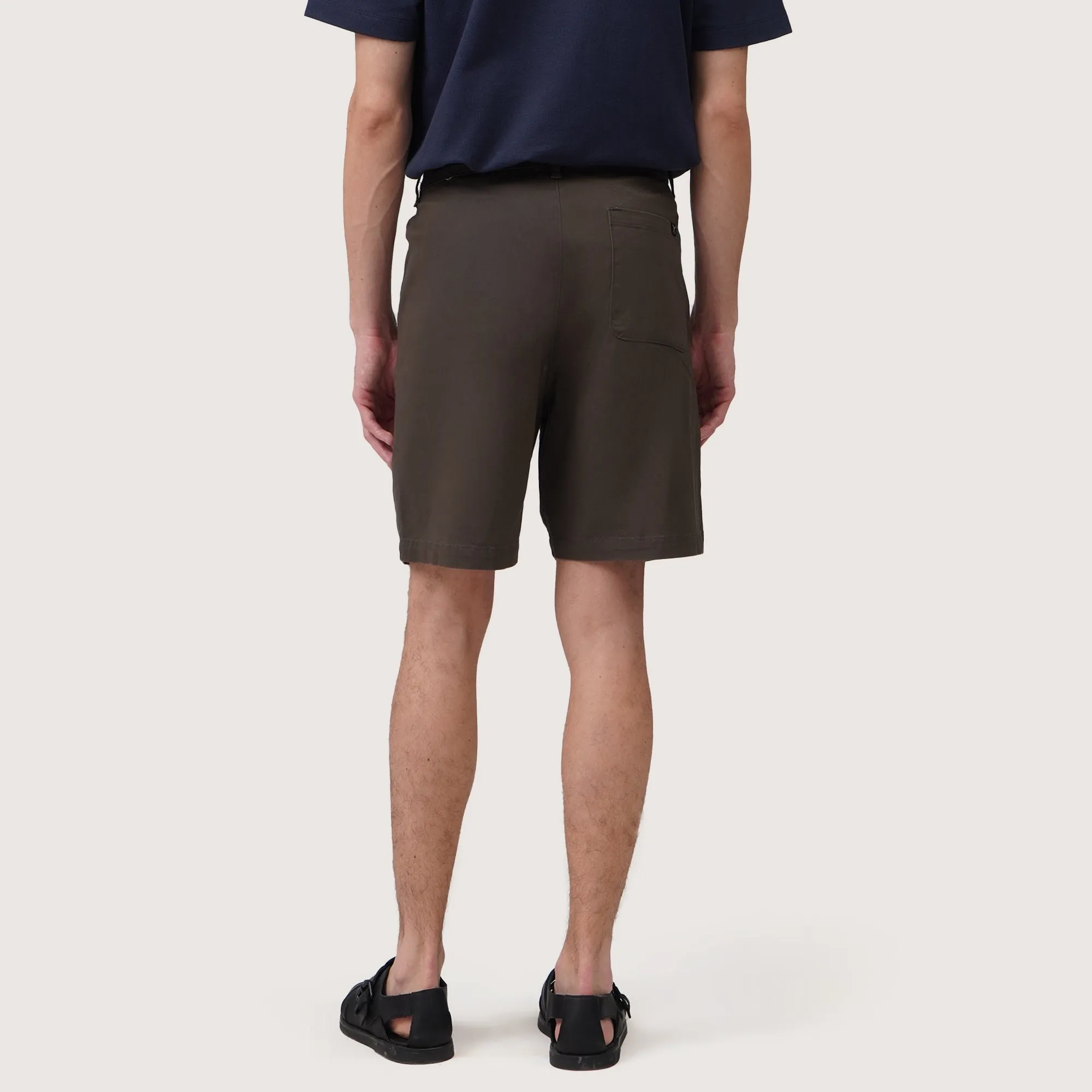 Regatta- Regular Fit Chino Shorts In Twill
