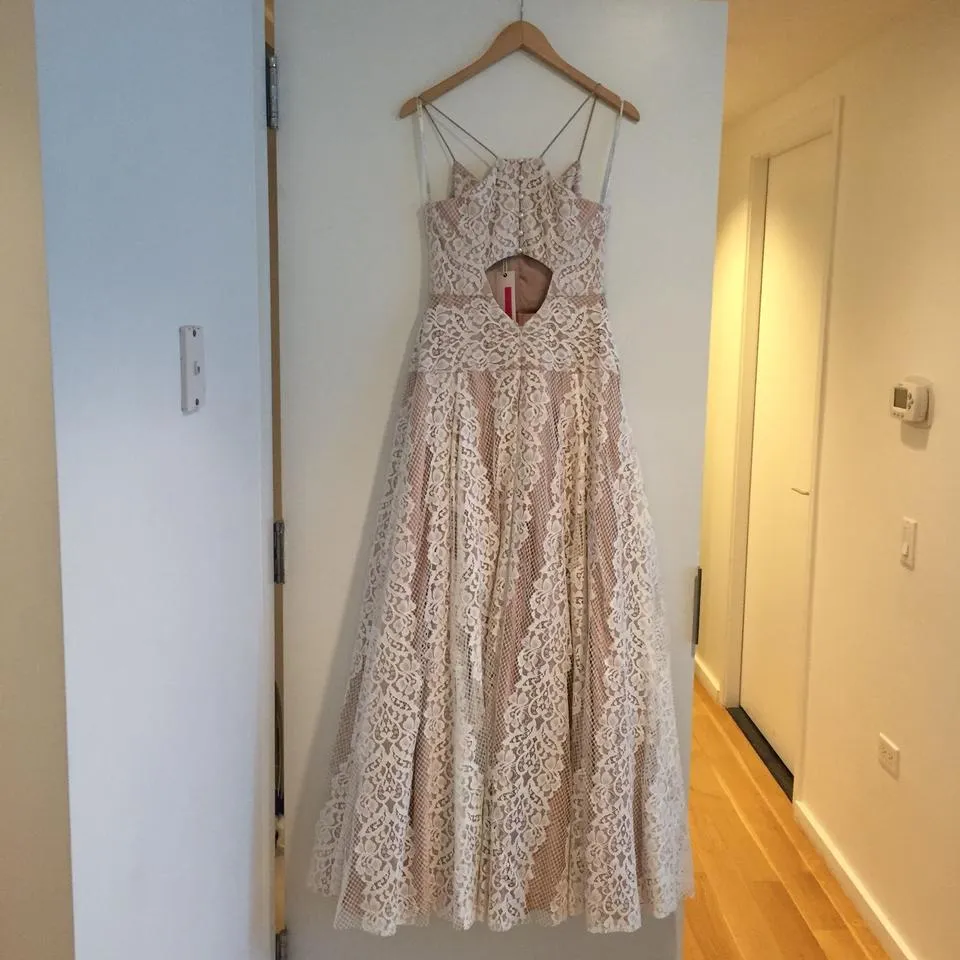 Trendy 2025 BHLDN Tracy Reese Larkin Gown  Going Fast!
